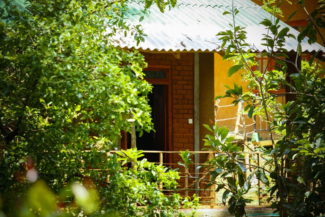 Ella Green Cottages Ella